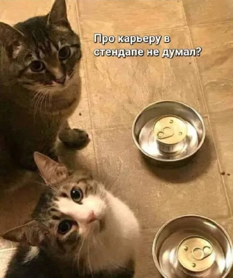 Карьера в стендапе