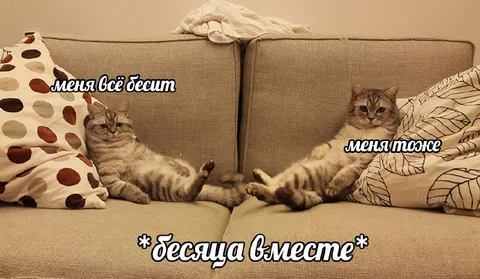 Меня всё бесит, меня тоже