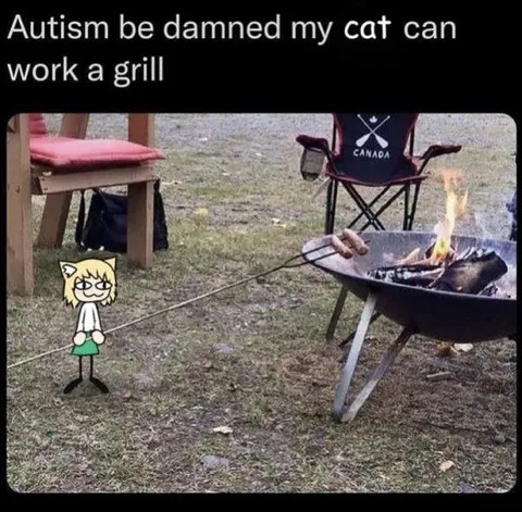 Cat Working the Grill