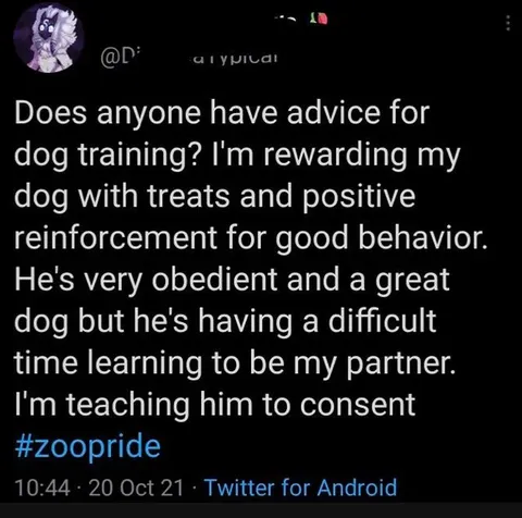 Dog Training Consent Joke