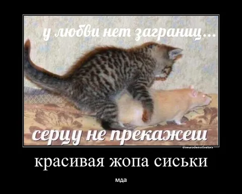 У любви нет границ
