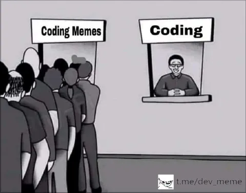 Everyone Wants Coding Memes