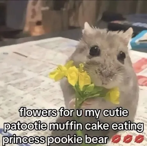 Flowers for My Cutie Pookie Bear