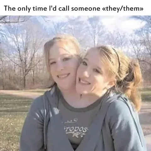 The Only Time I'd Say They Them