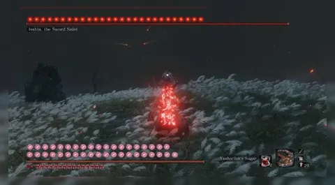 Isshin Sword Saint Boss Fight