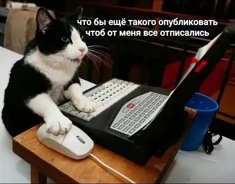 Кот хочет всех отписать