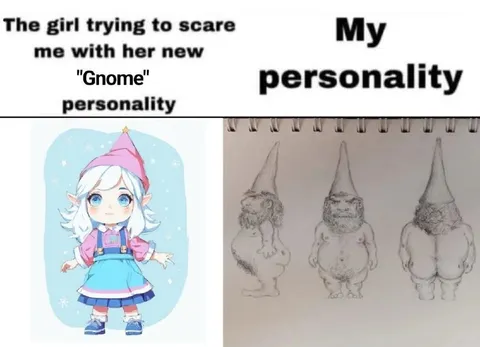 Gnome Personality Comparison