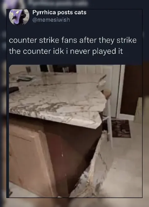 Counter-Strike Fans Strike the Counter