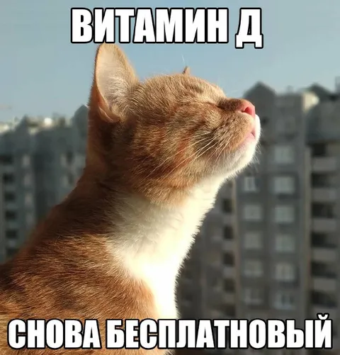 Витамин Д снова бесплатный