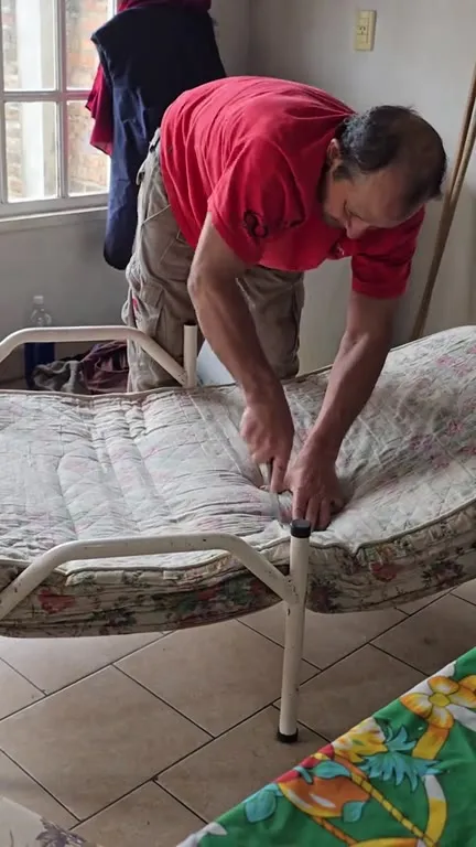 La cama perfecta para el perro