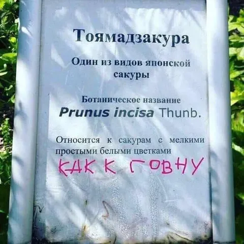 Как к говну