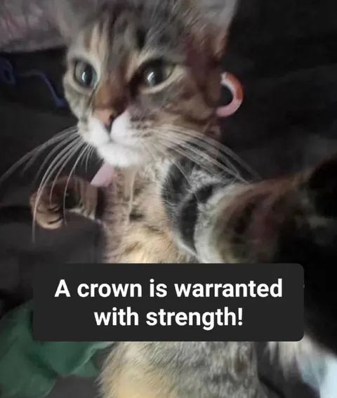A Crown Is Warranted