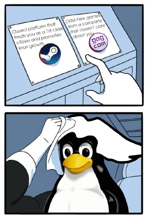 Steam or DRM-Free Games