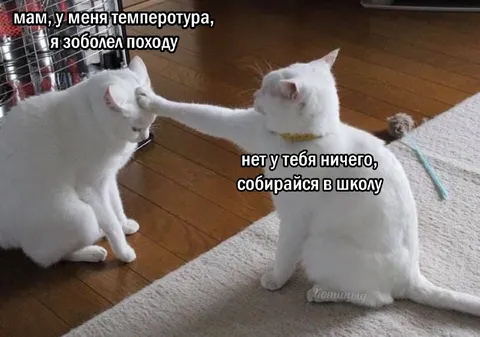 Мам, у меня температура