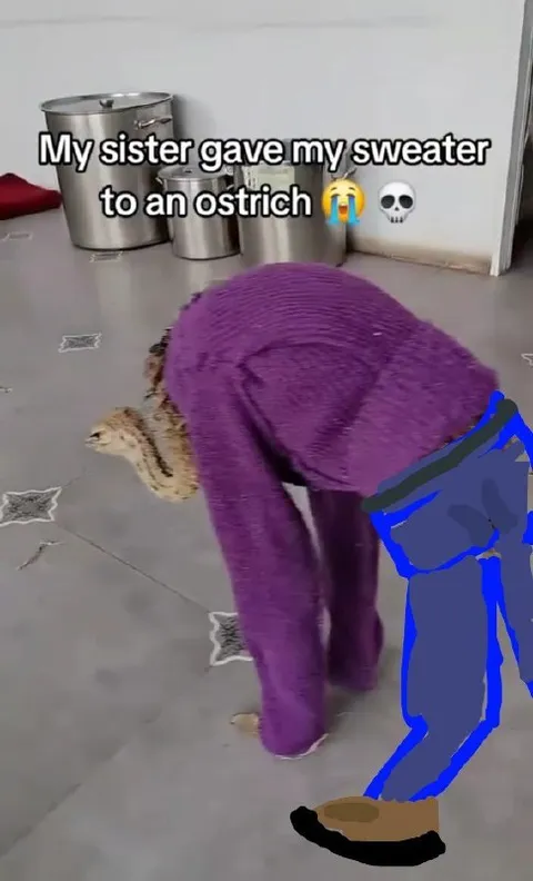 Ostrich Wearing My Sweater