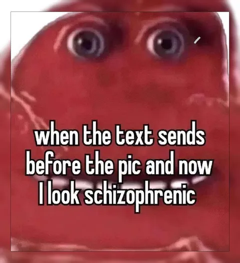 Text Before the Picture