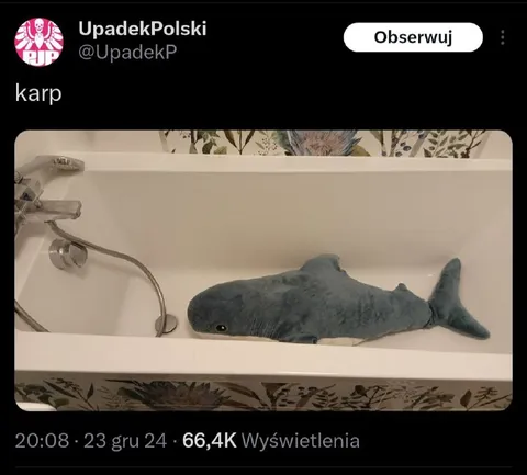 Karp w wannie