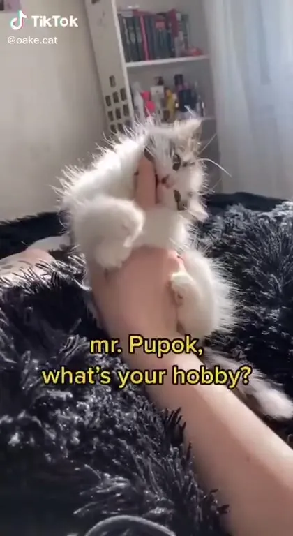 Mr. Pupok’s Eating Hobby