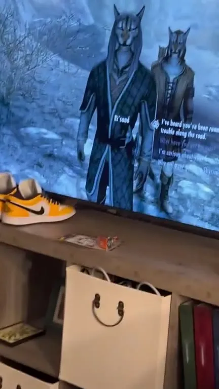 Cat Meets the Skyrim Khajiit