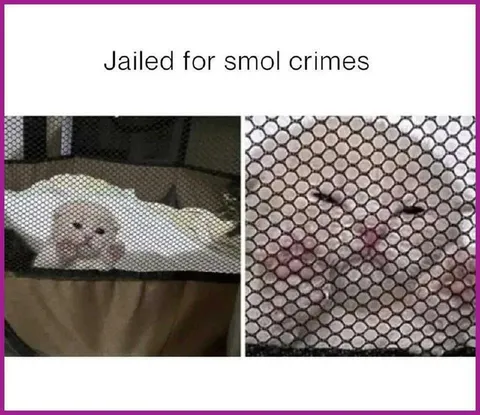 Jailed for Smol Crimes