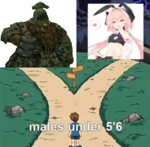 Males Under 5'6 Choosing a Path