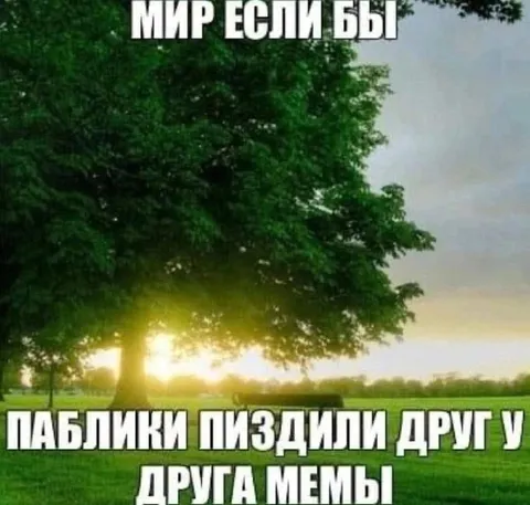 Мир если бы паблики не воровали мемы
