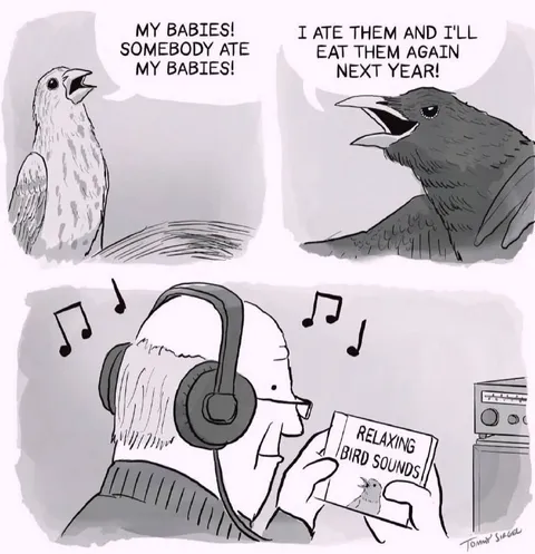 Birds Relaxing to Bird Sounds