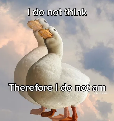 I Do Not Think Therefore I Do Not Am