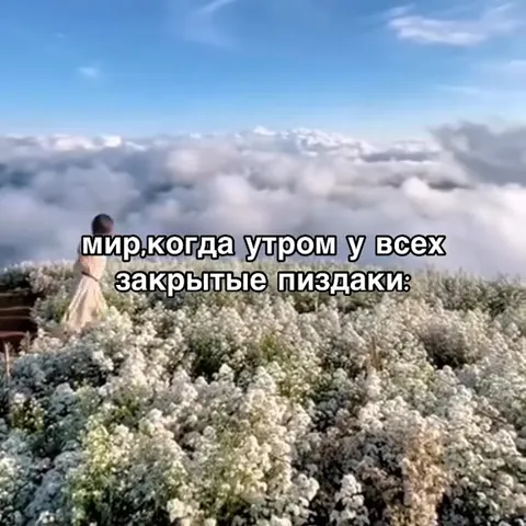 Мир с закрытыми пиздаками