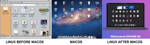 Linux Before and After macOS