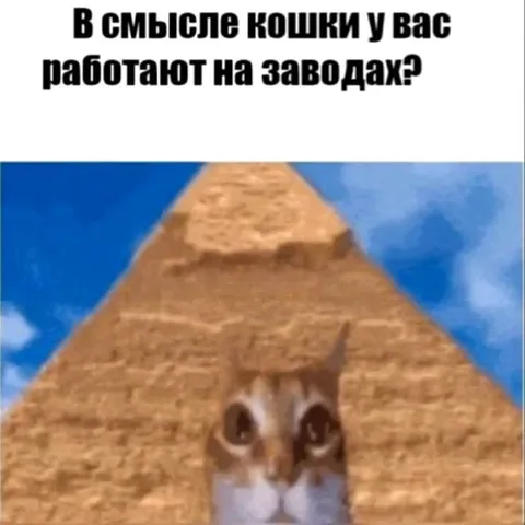 Кошки работают на заводах