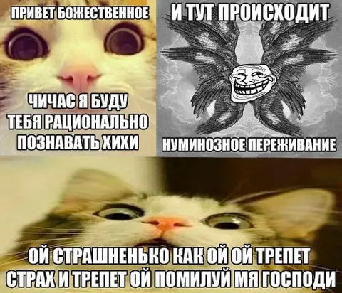 Кот познаёт божественное