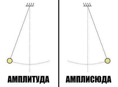 Амплитуда или амплисюда