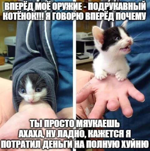 Подрукавный котёнок — оружие