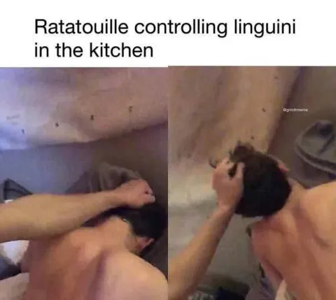 Ratatouille Controlling Linguini