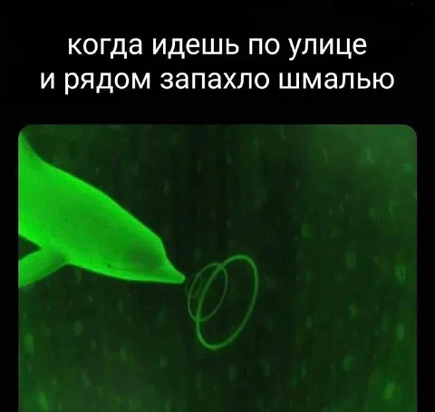 Запахло шмалью на улице