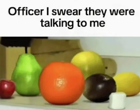 Officer, They Were Talking to Me