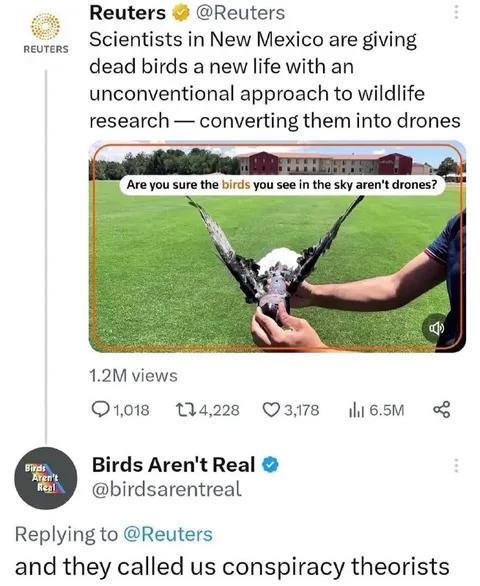 Birds Aren't Real Conspiracy