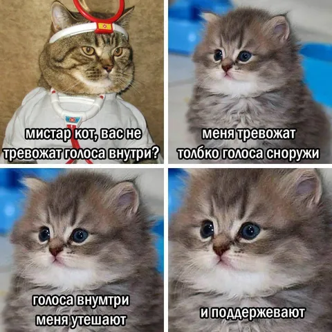 Голоса внутри меня поддерживают