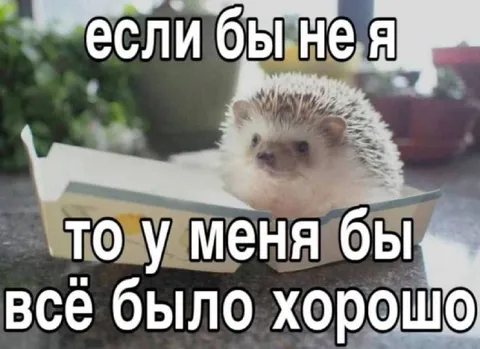Если бы не я, всё было хорошо