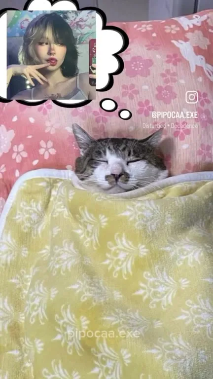 Cat Dreaming of Alt Girls