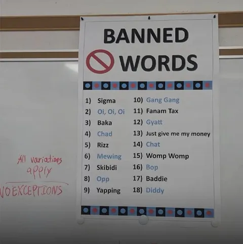 Banned Brainrot Words List