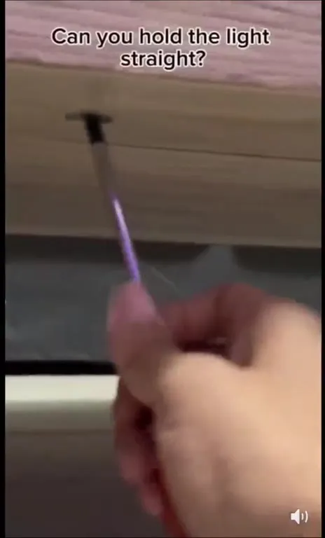 Cat Holds the Light Straight