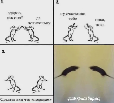 Крысы прощаются и дерутся