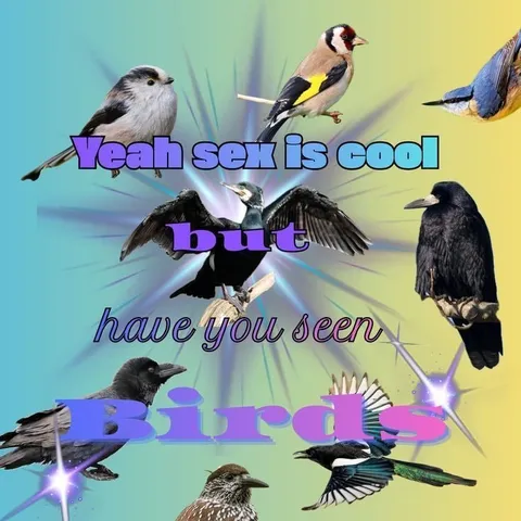 Yeah Sex Is Cool, But Birds