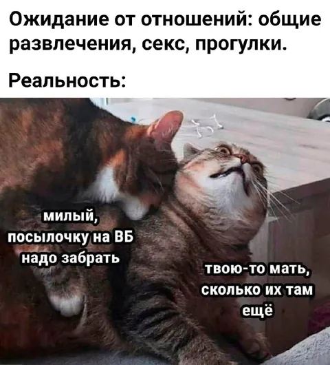 Реальность отношений и посылочка