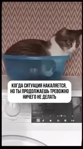 Тревожно ничего не делать
