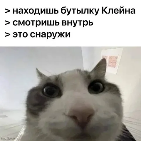 Бутылка Клейна изнутри