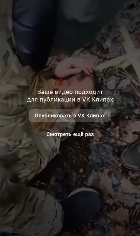 Видео подходит для VK Клипов