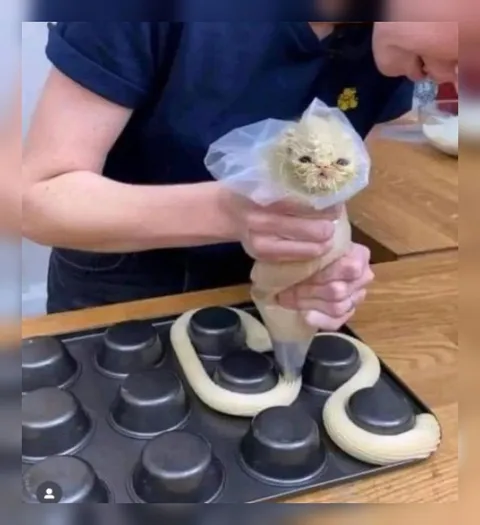 Кот печёт змейку
